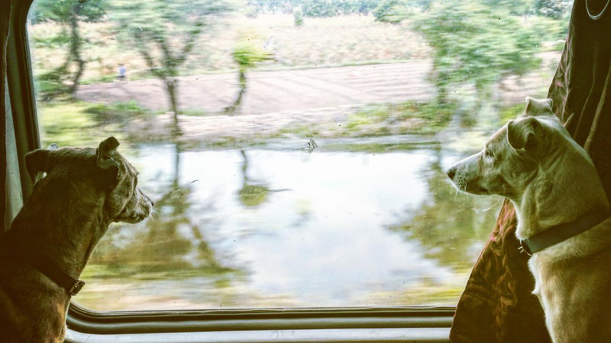 A new book chronicles the travels of three adopted Indies on Indian trains A new book chronicles the travels of three adopted Indies on Indian trains