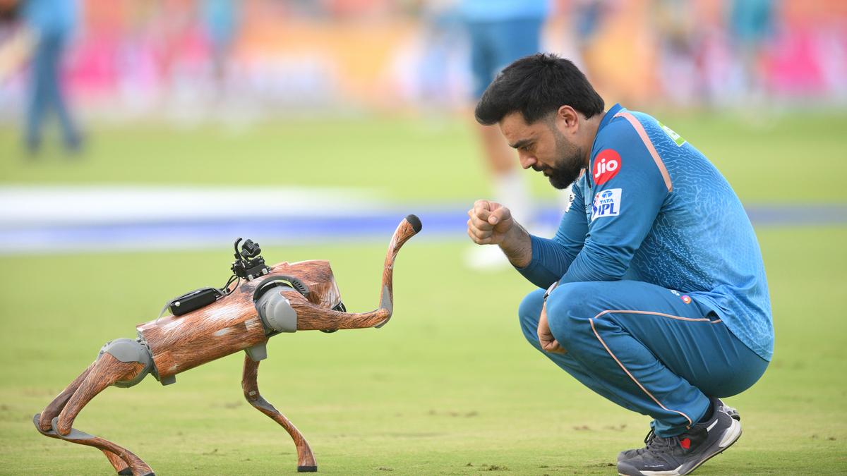 Rashid Khan joins unwanted list; concedes joint most sixes in an IPL season