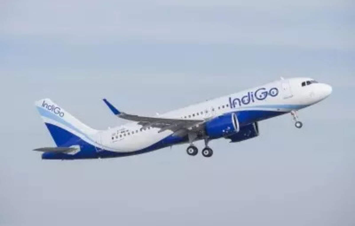 Govt unlikely to renew IndiGo pact with Turkish Airlines, ET TravelWorld News, ET TravelWorld