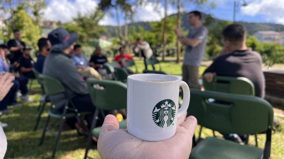 Bean to cup with Starbucks in North Indonesia, with the active Mount Sinabung in the backdrop